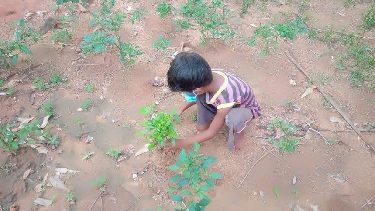Experiential Learning - Child planting his sapling